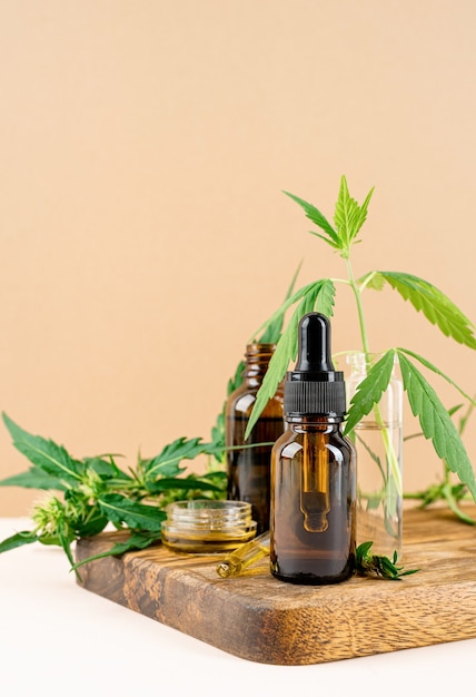 Alternativmedizin, Naturkosmetik. CBD-Öl und Cannabis hinterlässt Kosmetika-Vorderansicht auf orangefarbenem Hintergrund, Kopierraum