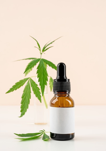 Alternativmedizin, Naturkosmetik. CBD-Öl und Cannabis hinterlässt Kosmetika-Vorderansicht auf orangefarbenem Hintergrund, Kopierraum