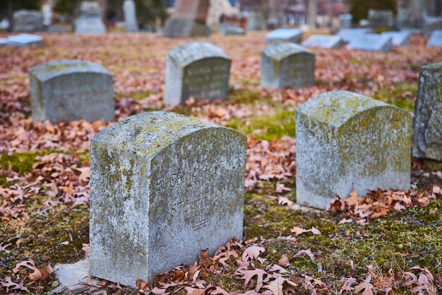 Foto alterter grabstein mit lichen-herbstblättern lindenwood friedhof augenhöhe ansicht