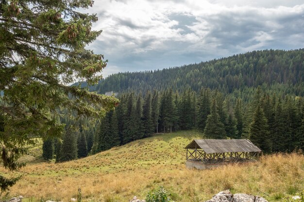 Altes Berghüttenblockhaus im Bucegi Nationalpark