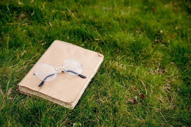 Altes Buch mit Brille zum Lesen auf grünem Gras