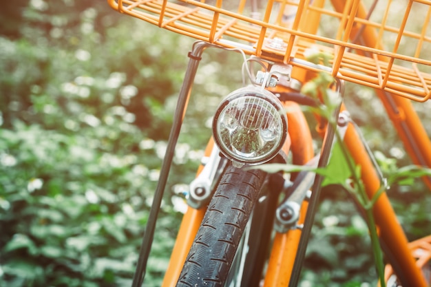 altes Fahrrad im Dschungel