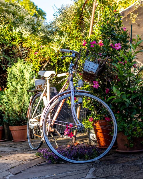 Foto altes fahrrad in einem garten