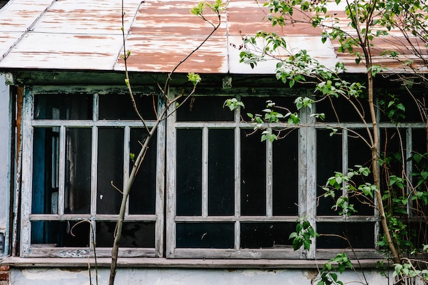 Altes Fenster mit Holzstangen