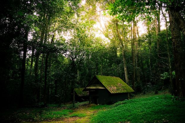 Foto altes häuschen in freier wildbahn