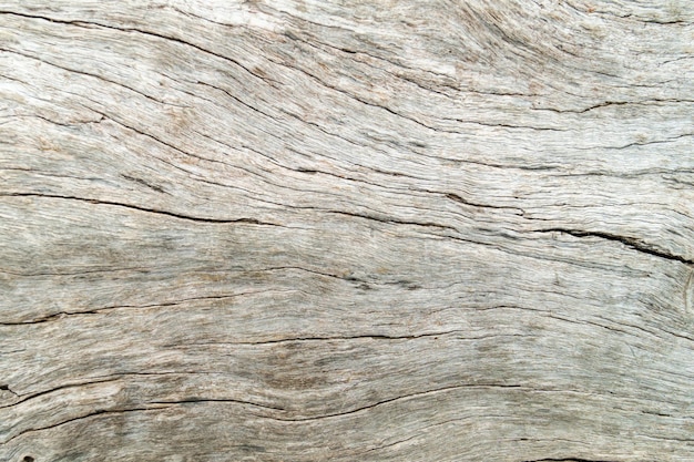 Altes Holz Haut Textur Natur Holz Baum Textur Hintergrundmuster
