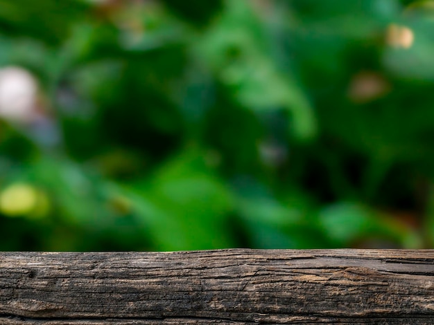 Foto altes holz im garten