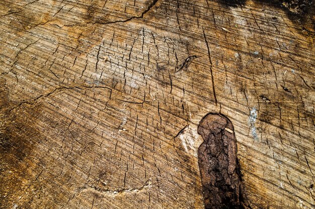 Altes Holz Nahaufnahme Wand Hintergrund für Design und Dekoration Strukturierte schöne abstrakte Oberfläche für Tapeten und Hintergründe