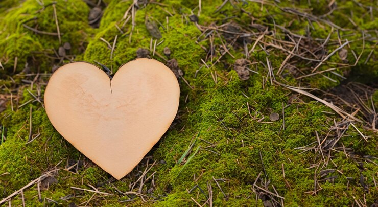 Foto altes holzherz mitten im grünen wald in hoher auflösung