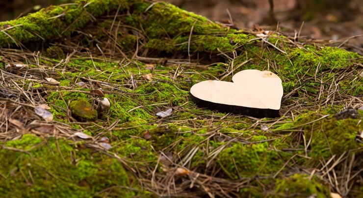 Foto altes holzherz mitten im schönen wald in hoher auflösung
