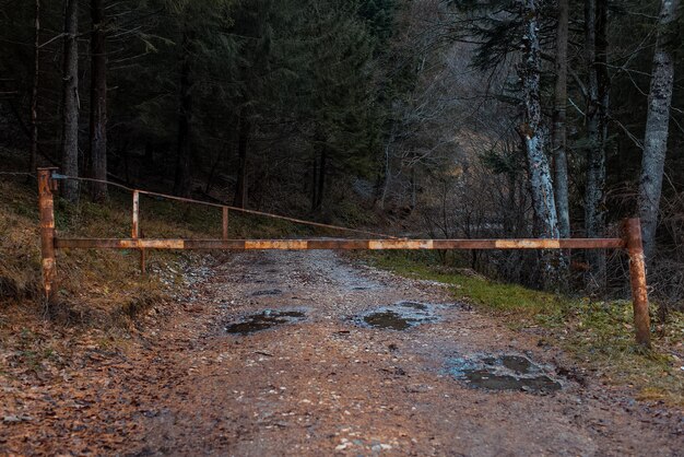 Altes Metallbarrieretor schließt den Eingang im Wald auf der unbefestigten Landstraße