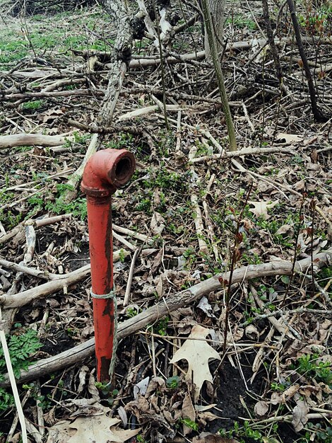 Foto altes metallrohr im wald