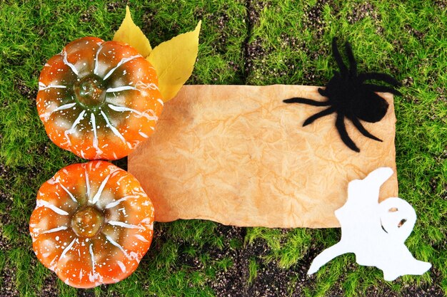 Altes Papier mit Halloween-Dekorationen auf grünem Mooshintergrund