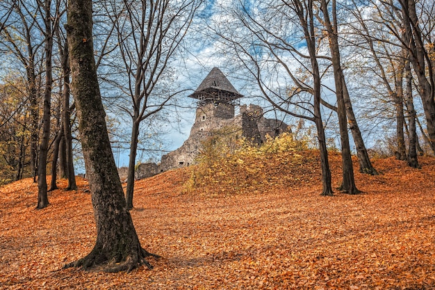 Altes Schloss im Herbstwald. Ukraine, Europa