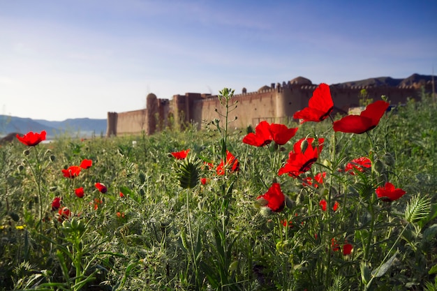 Altes Schloss in Kasachstan. Festungen Nomadenmauern