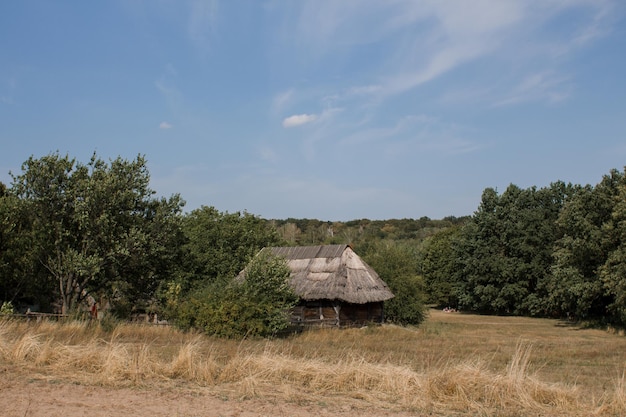 Altes strohgedecktes Häuschen im Wald