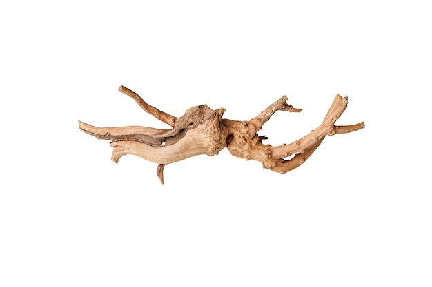 Altes trockenes Treibbaumzweig auf einem isolierten weißen Hintergrund