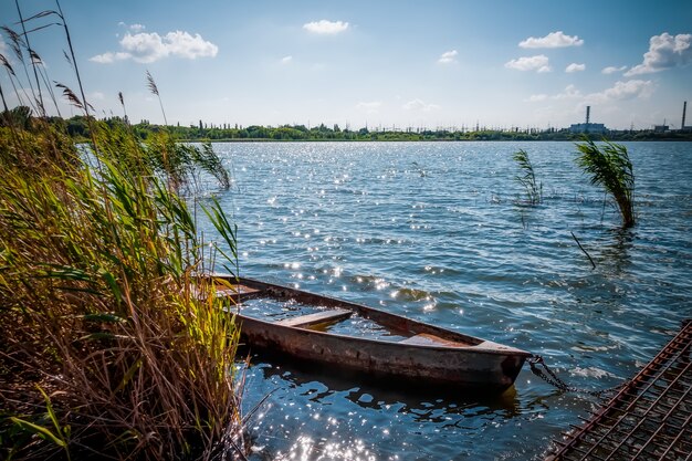 Altes überflutetes Boot im Schilf.