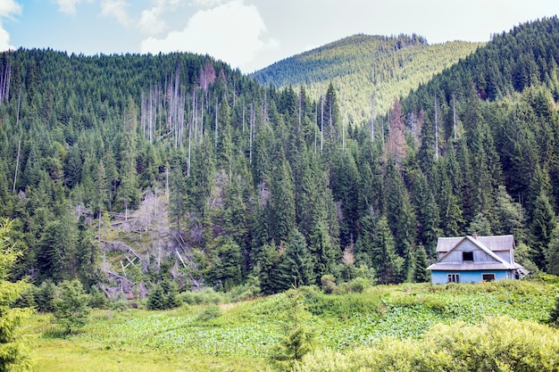 Altes verlassenes Dorfhaus, umgeben von grünem Wald in den Karpaten, Burkut, Ukraine