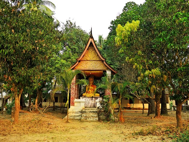 Altes Wat in Luang Prabang Laos