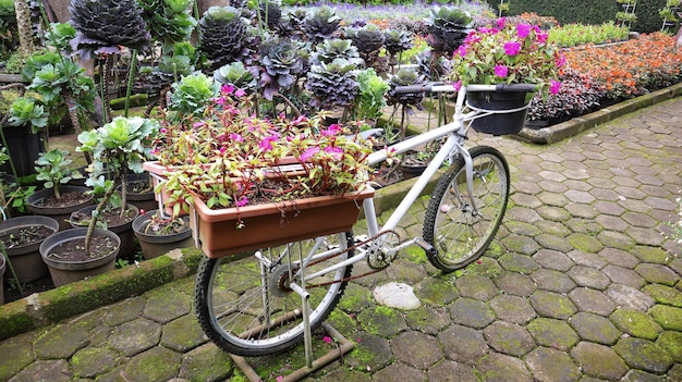 Altes weißes Fahrrad mit Blumenkörben im Garten.