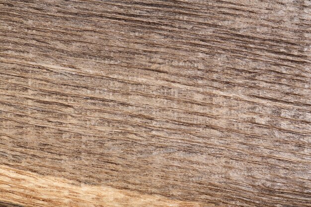 Altes zerkratztes Holz Mooreiche. Textur. Hochauflösendes Foto.