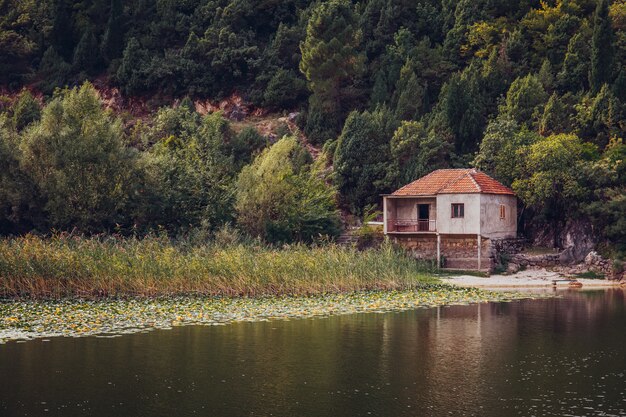 Foto altes zerstörtes haus am ufer