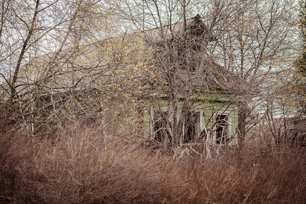 Foto altes zusammengebrochenes verlassenes haus mit einem verrotteten undichten dach hinter herbstbäumen