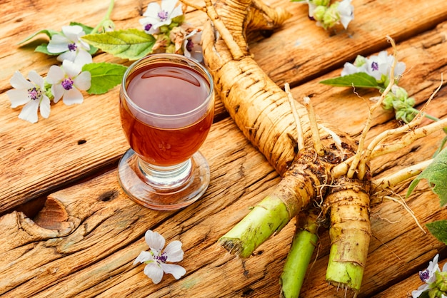 Althaea Wurzel oder Rhizom und heilende Tinktur. Heilkräuter und Pflanzen.