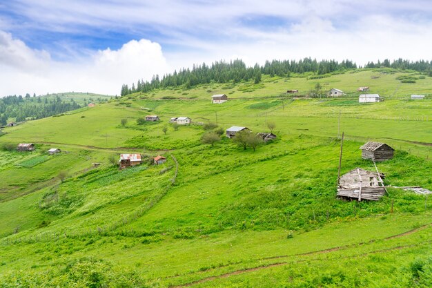 Altiplano brumoso con Giresun - Turquía