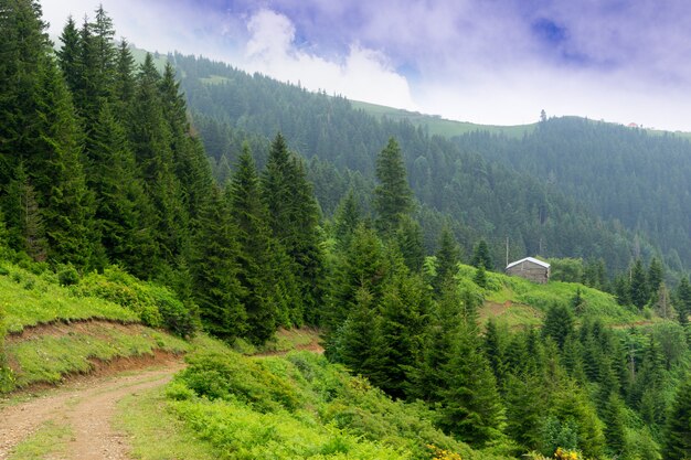 Altiplano brumoso con Giresun - Turquía