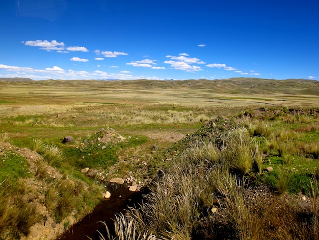 Altiplano nos andes, peru, américa do sul