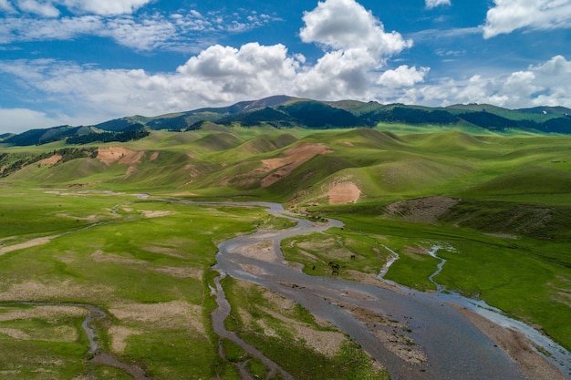 Desde la altura del valle del río verde en las montañas