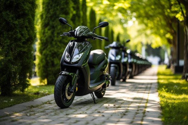 Aluguer de scooters elétricos