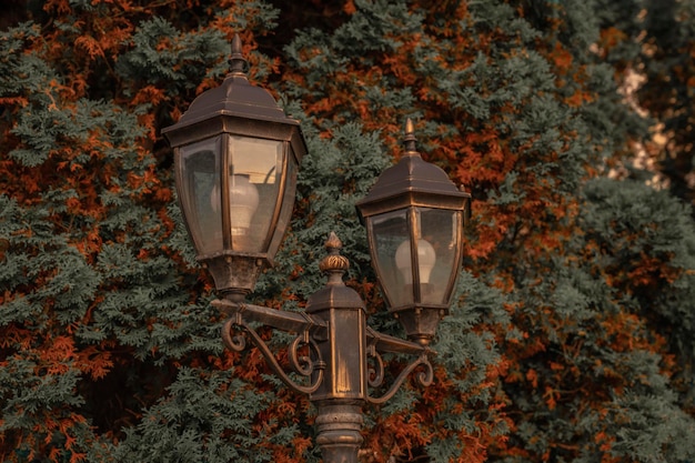 Alumbrado público Iluminación en el parque