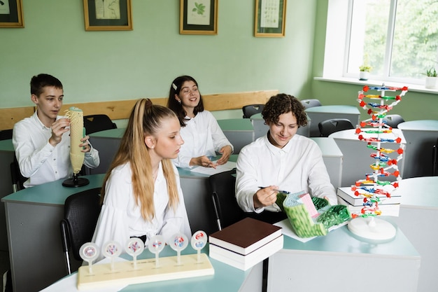 Alumnos comunicándose y discutiendo en equipo en la lección de biología en la escuela con ADN y modelos de células animales sobre la mesa Educación en la escuela de biología y química