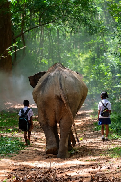 Alumnos van a la escuela con un gran elefante