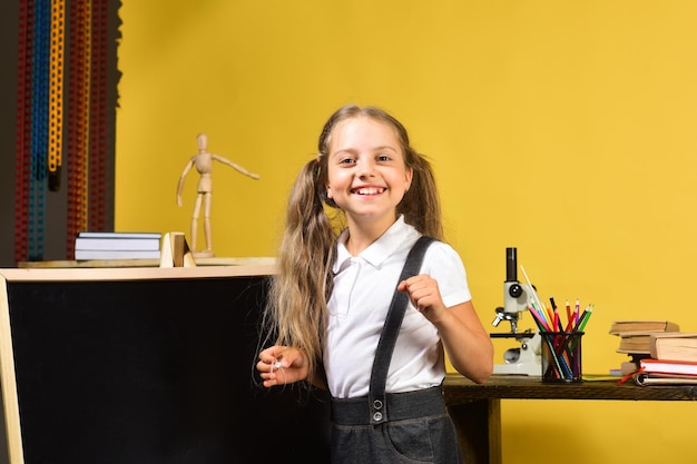 Aluna com sorriso feliz e rabos de cavalo fica em sua sala de aula