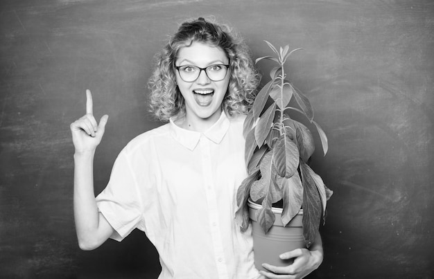 Aluna feliz de educação ambiental com planta no quadro-negro professora mulher de óculos na aula de biologia escola natureza estudo árvore do conhecimento escola aprendendo ecologia transplante flores