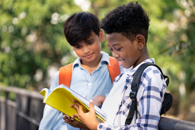 Aluno lendo livro com amigo no parque escolar