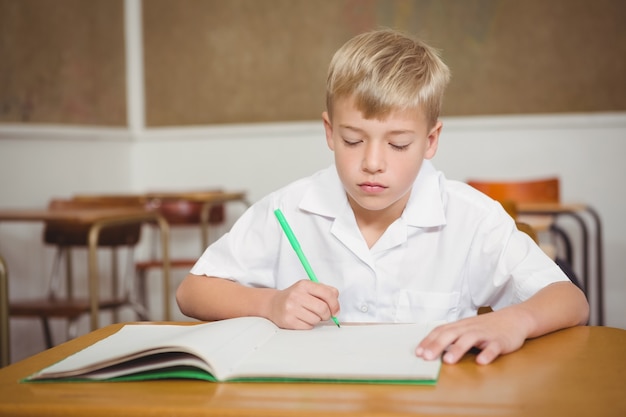 Aluno ocupado trabalhando no trabalho de classe