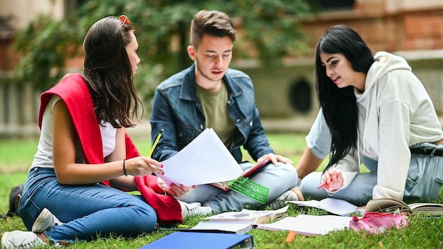 Alunos sentados na grama e estudando juntos no parque