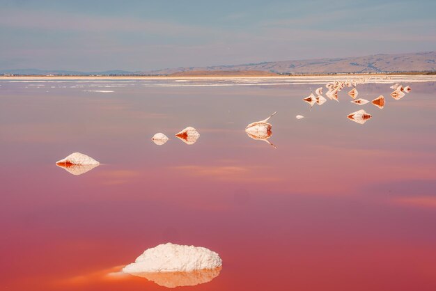 Foto alviso pink lake park california paisagem surrealista com água rosa e formações de sal