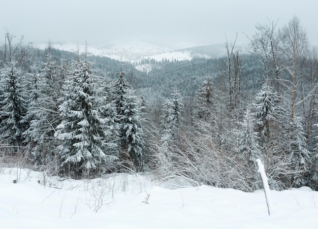 Am frühen Morgen Winterberglandschaft