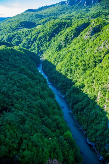 Am grund der schlucht fließt der schnelle fluss tara