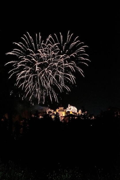 Am Nachthimmel wird ein Feuerwerk gezündet.