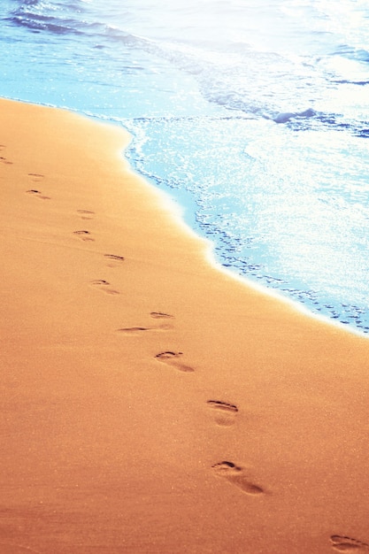 Am Strand spazieren gehen, Fußspuren im Sand hinterlassen.