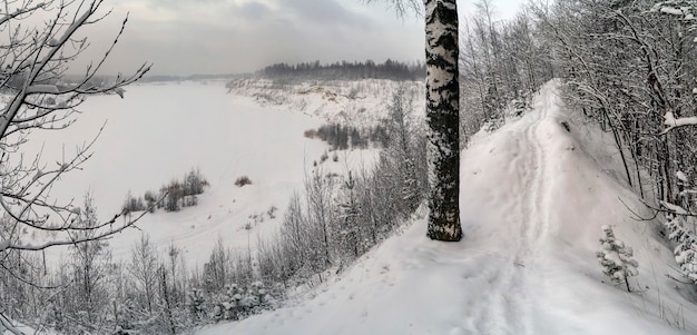 Am Ufer eines zugefrorenen Sees. Winterlandschaft. Gebiet Leningrad.