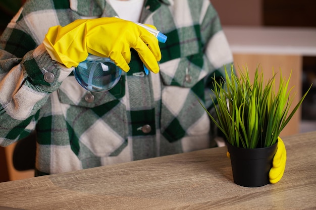 Ama de casa feliz con spray cuidando las plantas en su casa