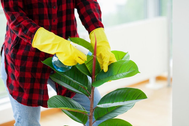 Ama de casa feliz con spray cuidando las plantas en su casa